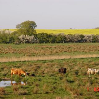 Landschaft